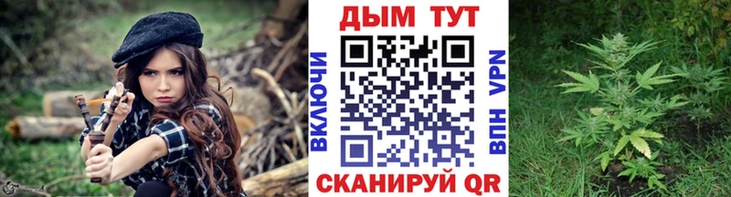 Бошки Шишки Кольчугино