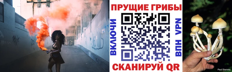 купить наркотик  Кольчугино  Галлюциногенные грибы ЛСД 